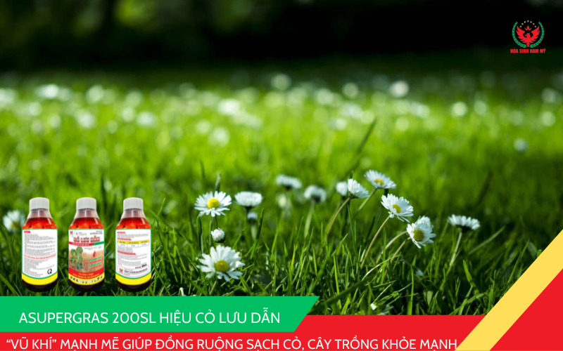 Bìa ASUPERGRAS 200SL HIỆU CỎ LƯU DẪN – “Vũ khí” mạnh mẽ giúp đồng ruộng sạch cỏ, cây trồng khỏe mạnh