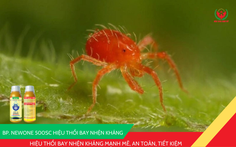 BP. NEWONE 500SC – Hiệu Thổi Bay Nhện Kháng mạnh mẽ, an toàn, tiết kiệm