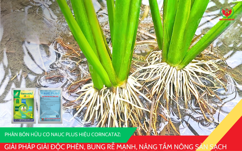 NAUC PLUS hiệu CorncatAZ