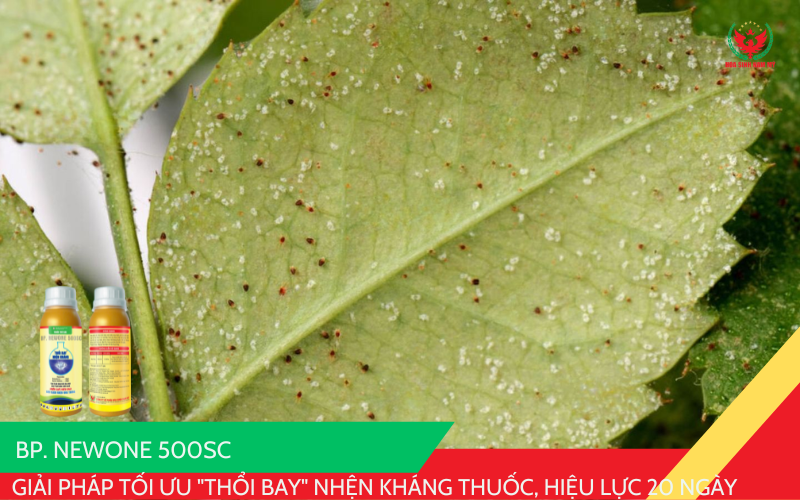 BP. NEWONE 500SC