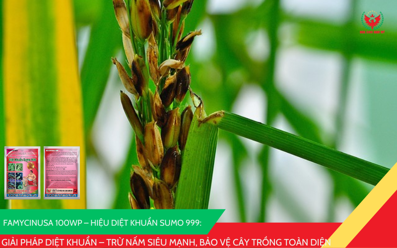 FAMYCINUSA 100WP