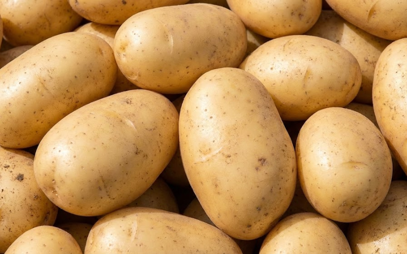 Siêu Bo Canxi Magie