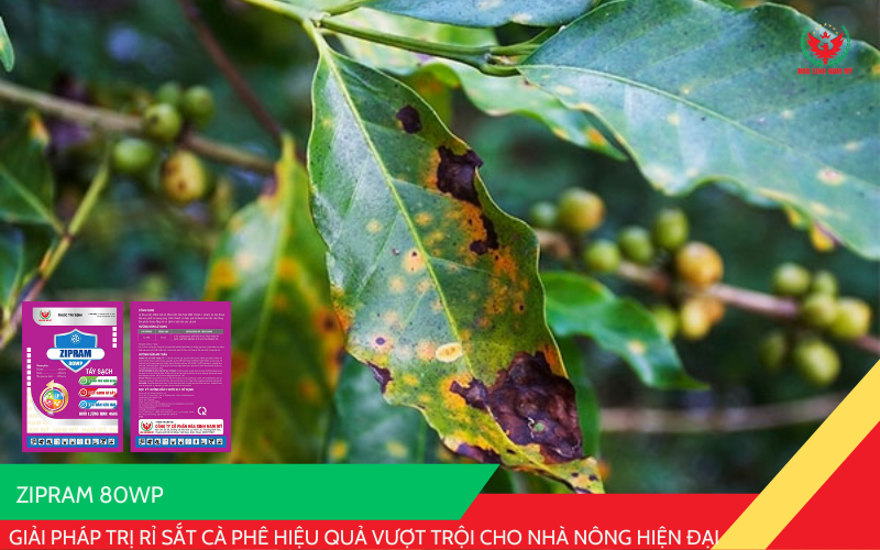 ZIPRAM 80WP