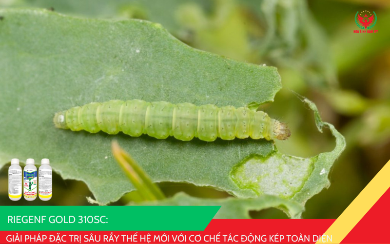 RIEGENF GOLD 310SC