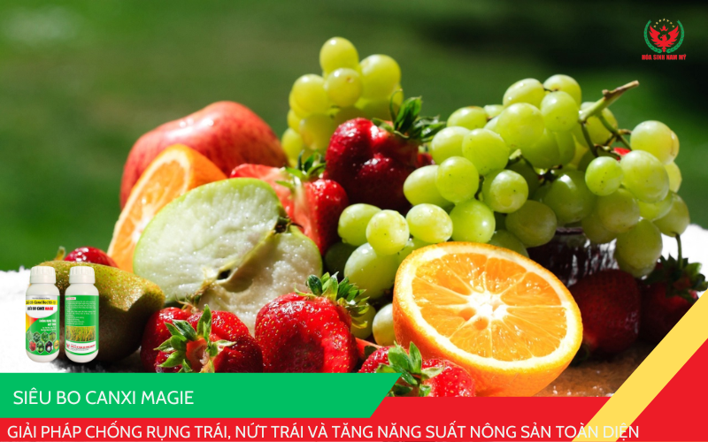 Siêu Bo Canxi Magie