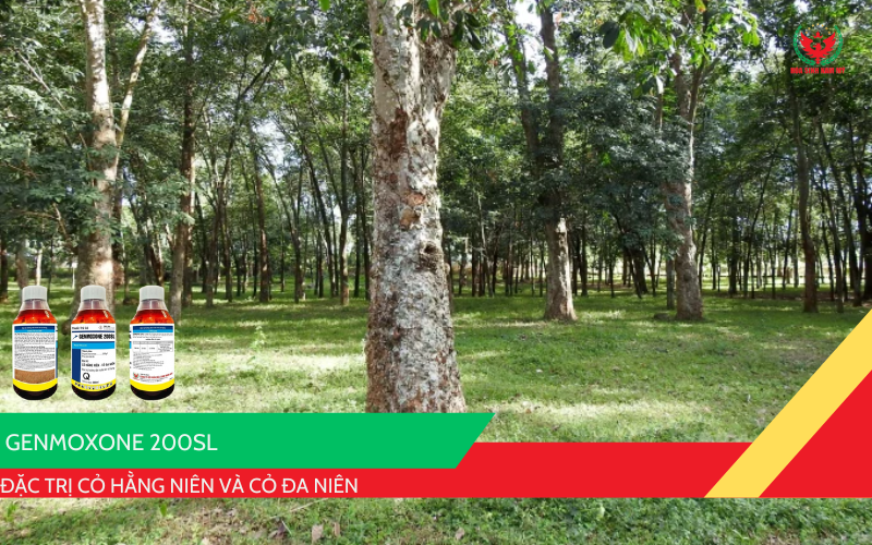 GENMOXONE 200SL