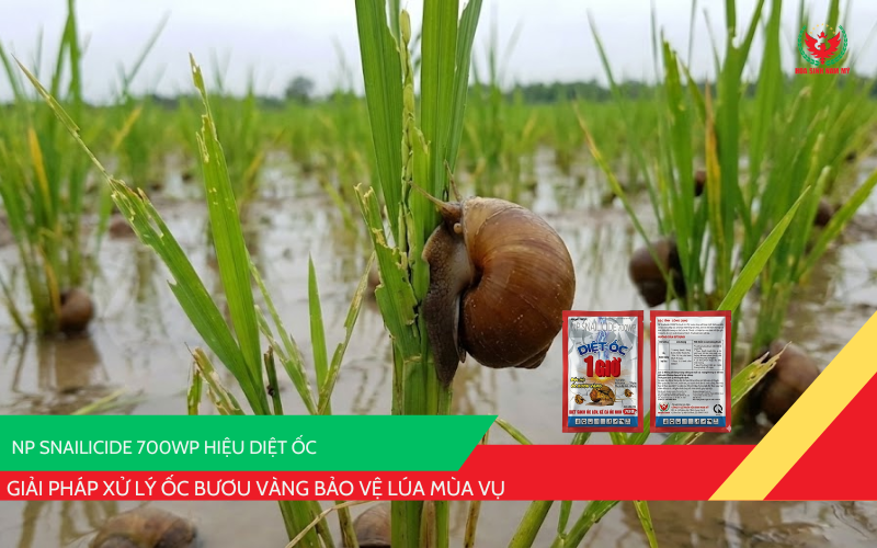 NP Snailicide 700WP Hiệu Diệt Ốc