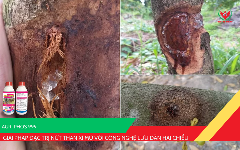 Phân bón vi lượng GA 34 hiệu AGRI PHOS 999