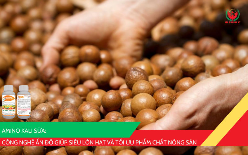 Amino Kali Sữa