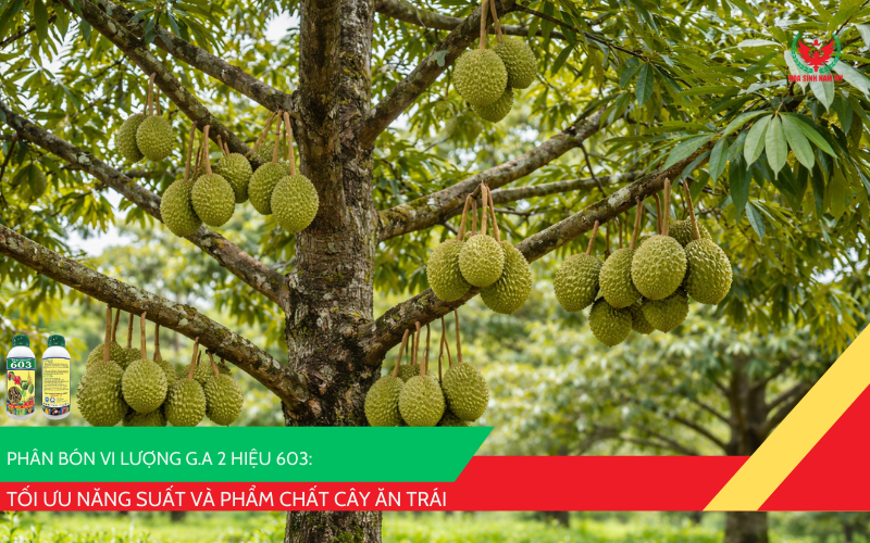 Phân bón vi lượng G.A 2 hiệu 603
