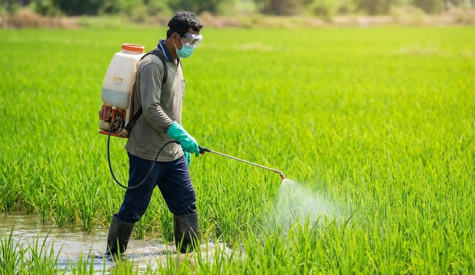 YAPOKO 250SC Hiệu Regent ENERGY