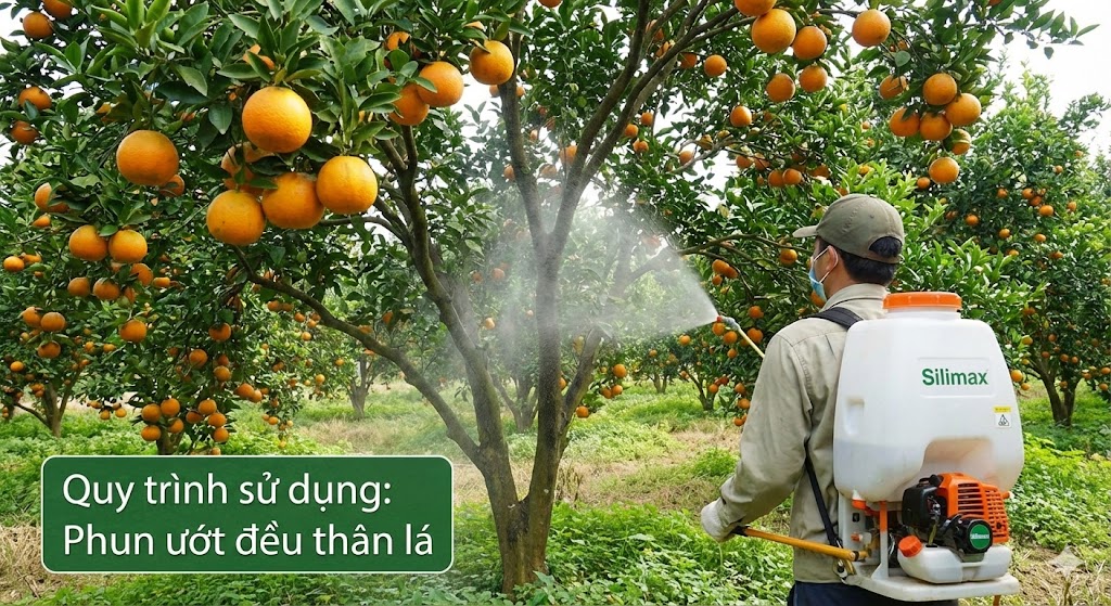 Phân bón G.A 14 hiệu SILIMAX