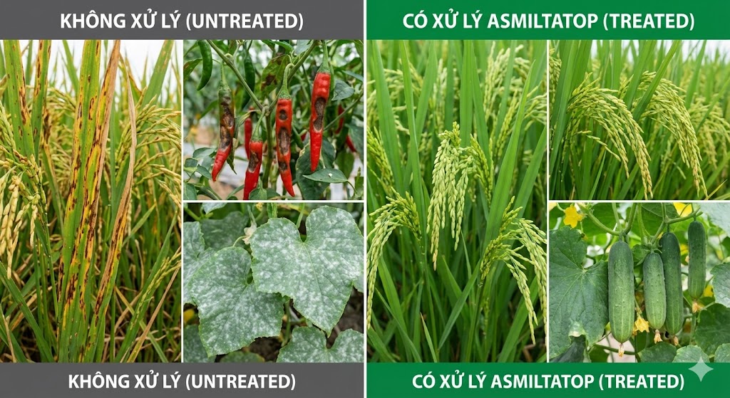 ASMILTATOP SUPER 400SC