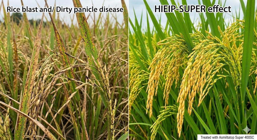 Asmiltatop Super 400SC: