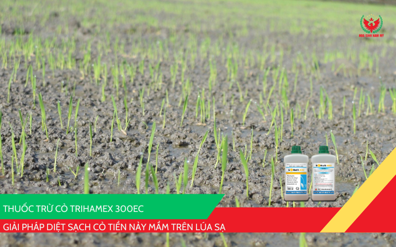 TRIHAMEX 300EC (Hiệu SORisfit 300)