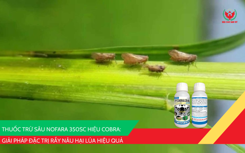 NOFARA 350SC hiệu COBRA