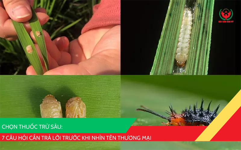 Cách chọn thuốc trừ sâu