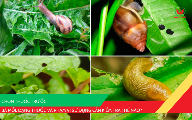 chọn thuốc trừ ốc