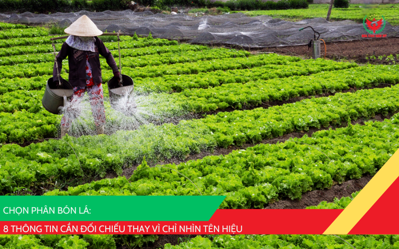 chọn phân bón lá